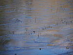 OM-1 Gallery image 373