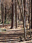 OM-1 Gallery image 375