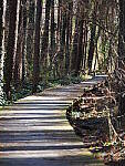 OM-1 Gallery image 377