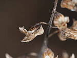 OM-1 Gallery image 401