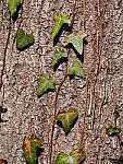 OM-1 Gallery image 405