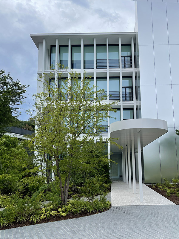 Sigma Mind AI office