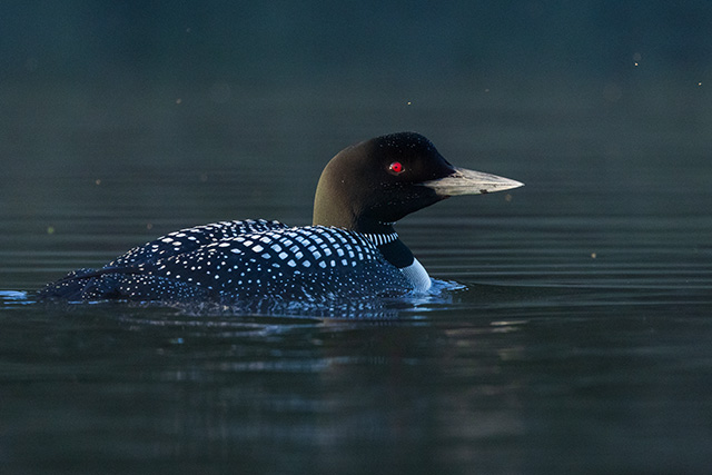 Canon EOS R7 Review: Hands-on Review -- Gallery Image