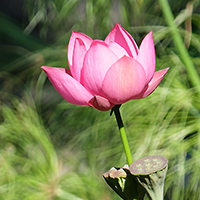 Fujifilm X-H2 Sample Gallery: A brief look at that all-new 40MP