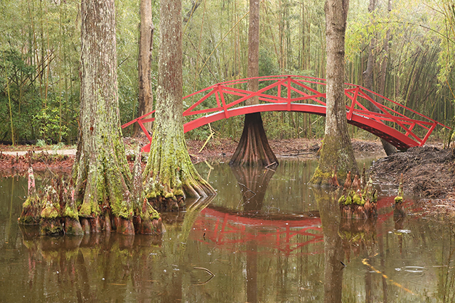 Canon EOS R8 Review: Hands-on Preview -- Gallery Image