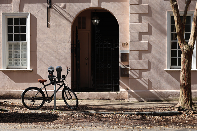 Canon EOS R8 Review: Hands-on Preview -- Gallery Image