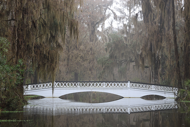 Canon EOS R8 Review: Hands-on Preview -- Gallery Image