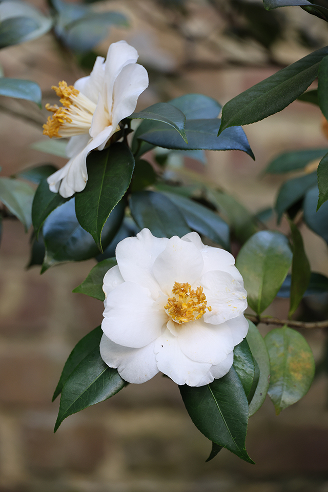 Canon EOS R8 Review: Hands-on Preview -- Gallery Image