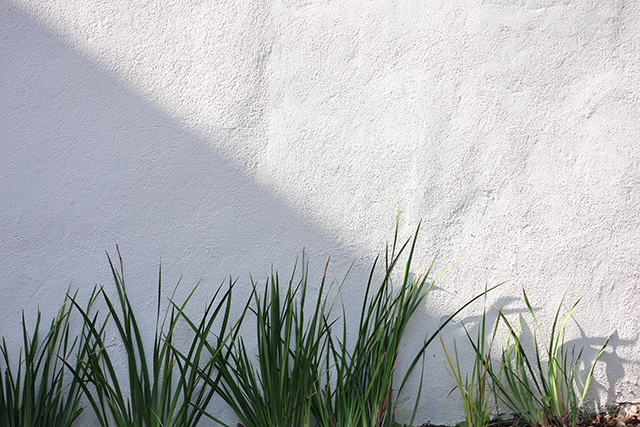 Canon EOS R8 Review: Hands-on Preview -- Gallery Image