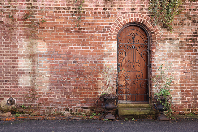 Canon EOS R8 Review: Hands-on Preview -- Gallery Image