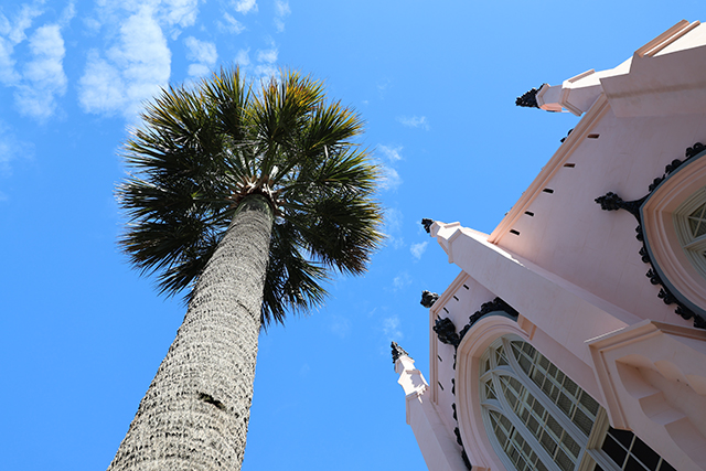 Canon EOS R8 Review: Hands-on Preview -- Gallery Image