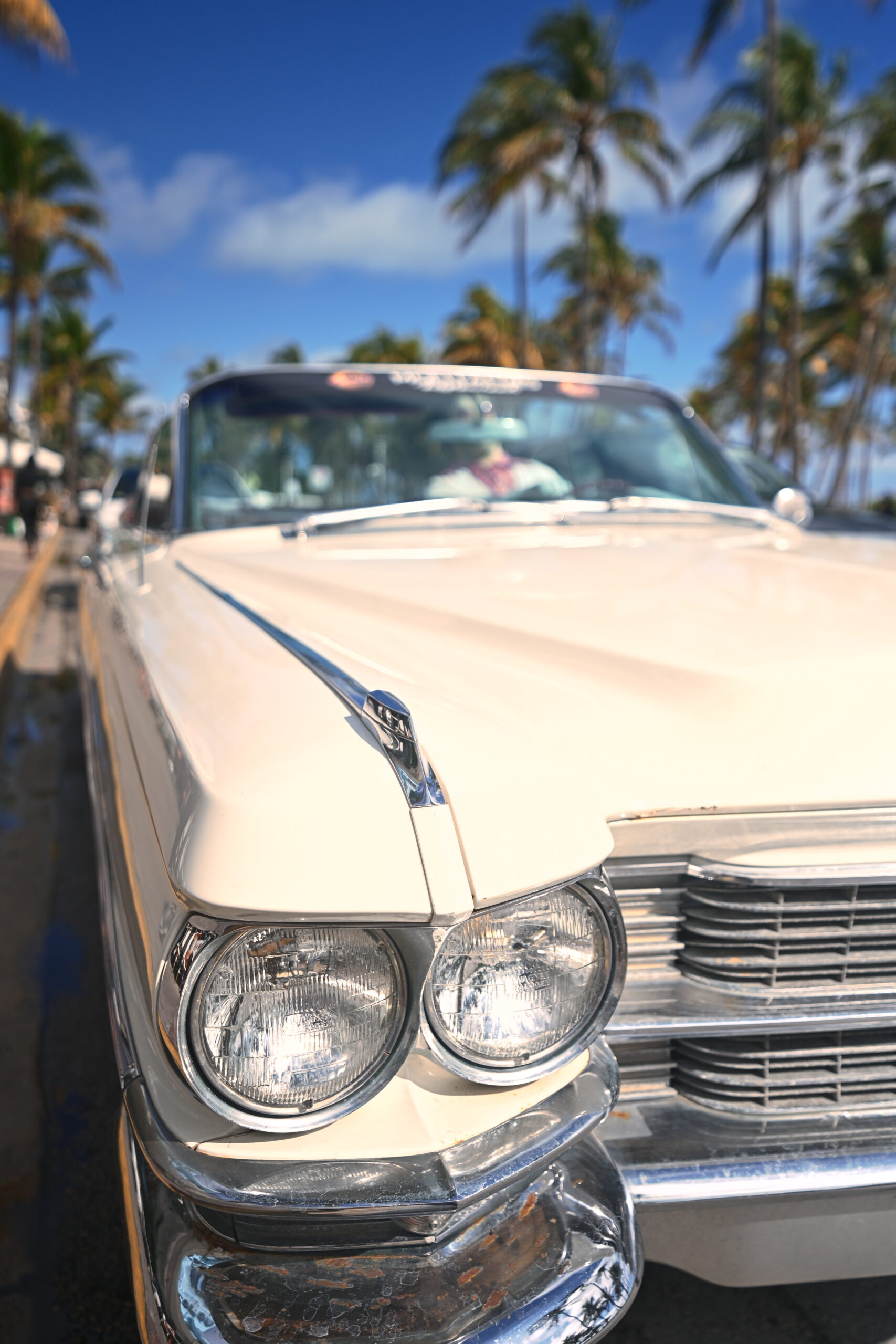 Nikon Z5 II sample image