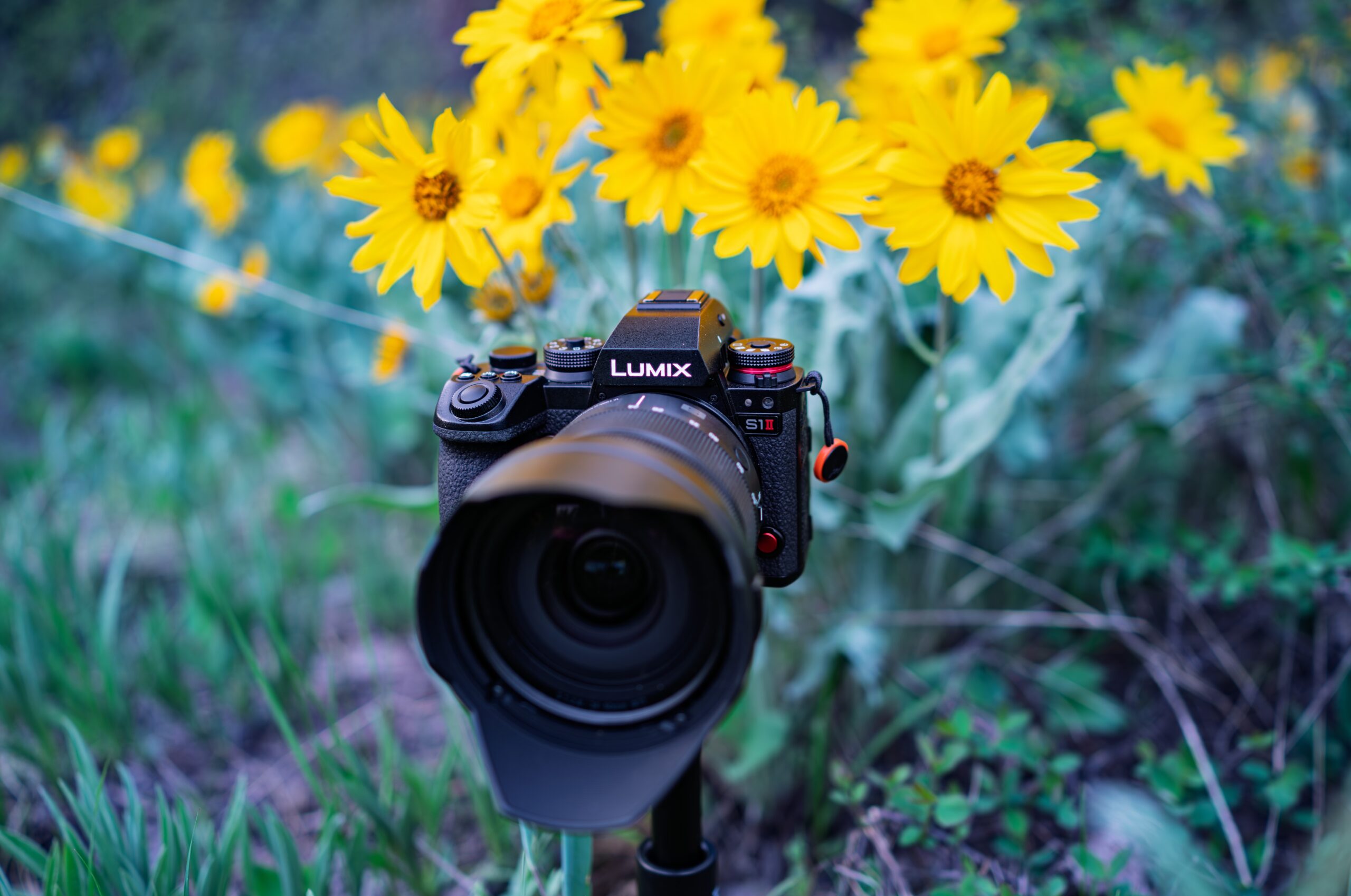 Field-Tested: Panasonic S1 II with 24–60 mm F2.8 Lens - Imaging