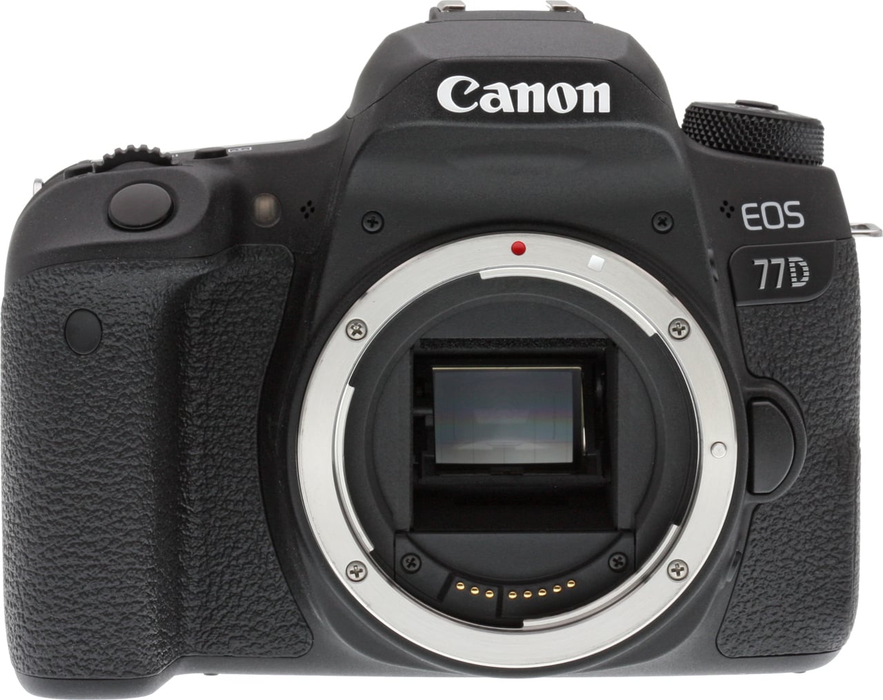 77d Canon 77D Review - First Shots: Closer Look - Imaging Resource