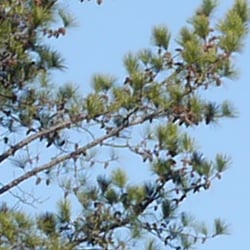 GX1 Exposure image 16