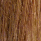 GX1 Exposure image 22