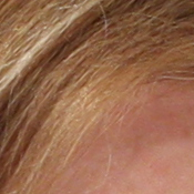 40D Imaging image 30