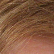 40D Imaging image 31