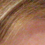 40D Imaging image 33