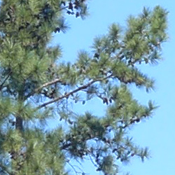 LX7 Exposure image 15