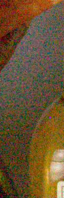 D300S RAW Files image 42