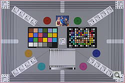 D3S Viewfinder image 1