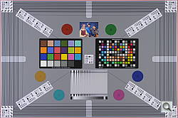 D3S Viewfinder image 2