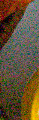 D800 RAW Files image 114