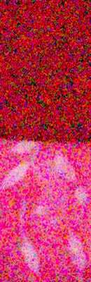 D800 RAW Files image 121