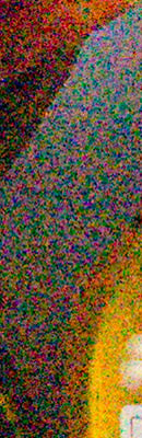 D800 RAW Files image 130