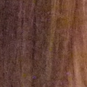 G2 Imaging image 27