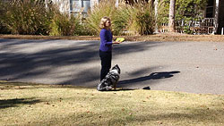 60D Video image 3