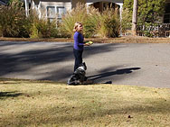 60D Video image 4