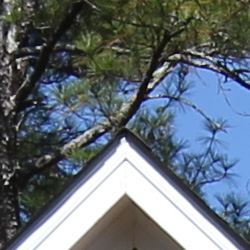 60D Imaging image 17
