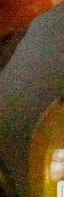 60D High ISO Noise Reduction image 110