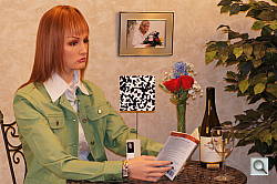 Sony Alpha NEX-3 Flash image 7