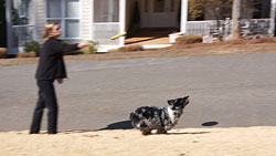 Sony Alpha DSLR-A580 Video image 2