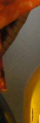Sony Alpha DSLR-A580 High ISO Noise Reduction image 13