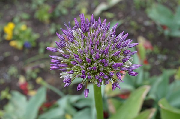 Sony Alpha SLT-A58 Field Test image 14