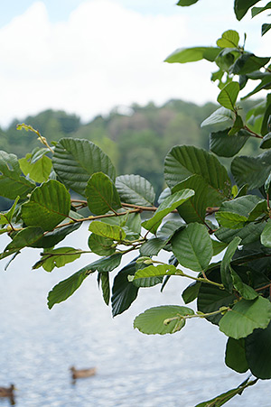 Sony Alpha SLT-A58 Field Test image 21