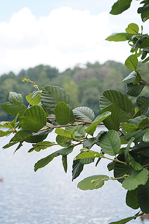 Sony Alpha SLT-A58 Field Test image 22
