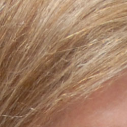 D200 Imaging image 4