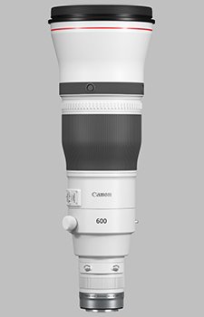 Canon RF 600mm f/4L IS USM - Imaging Resource