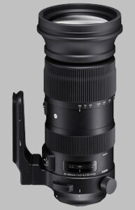 Sigma 60-600mm f/4.5-6.3 DG OS HSM Sports