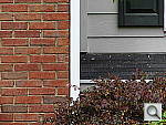 Sony Cyber-shot DSC-H2 Test Shots image 25