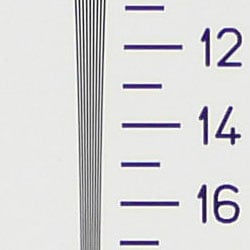 TZ1 Exposure image 9