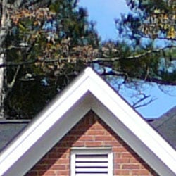 TZ1 Exposure image 11