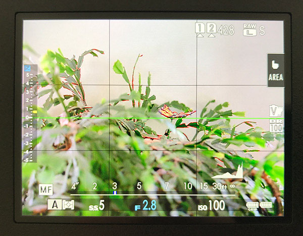 GFX 50S Field Test Part III image 12