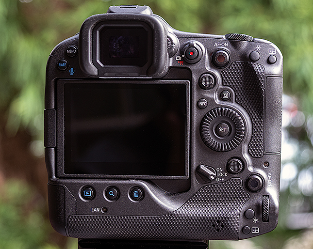 Canon R3 Review - Imaging Resource