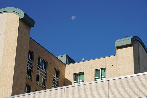 A7R II Field Test Part II image 9
